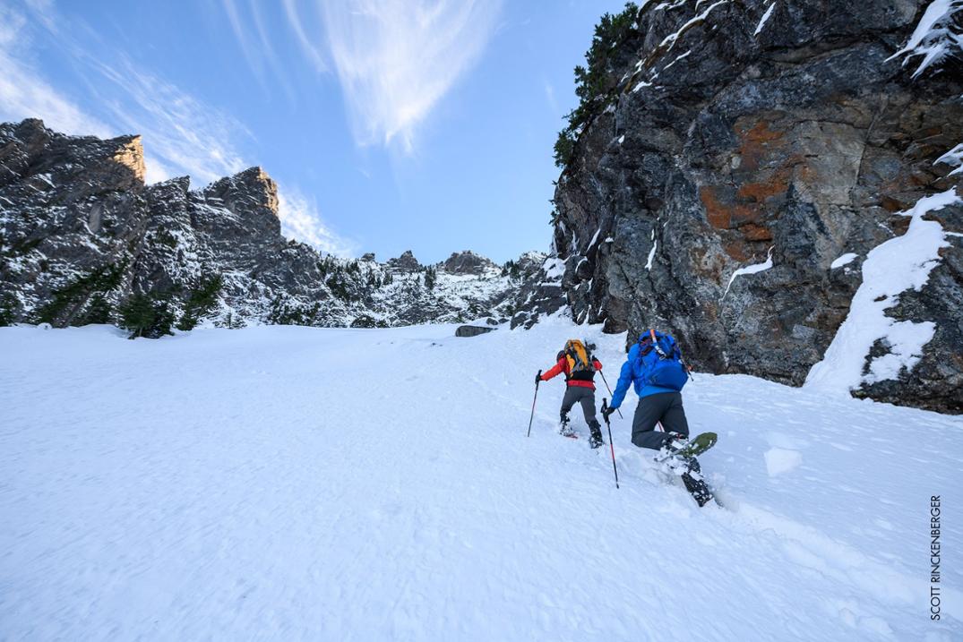 Location Image for DynaLock Ascent Carbon Backcountry Poles - Pair