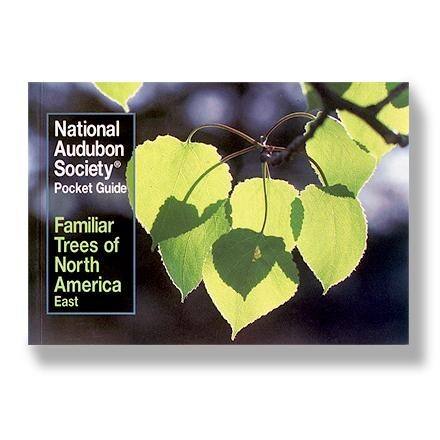 Product Image of color