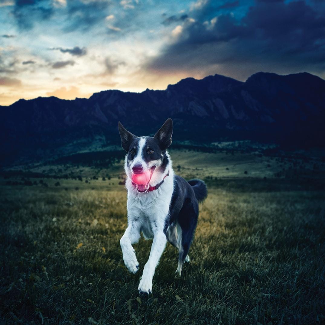 Location Image for GlowStreak LED Ball