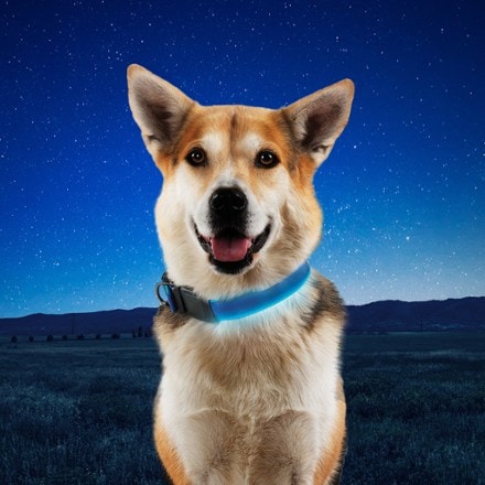 Nite Ize NiteDog Rechargeable LED Collar 7