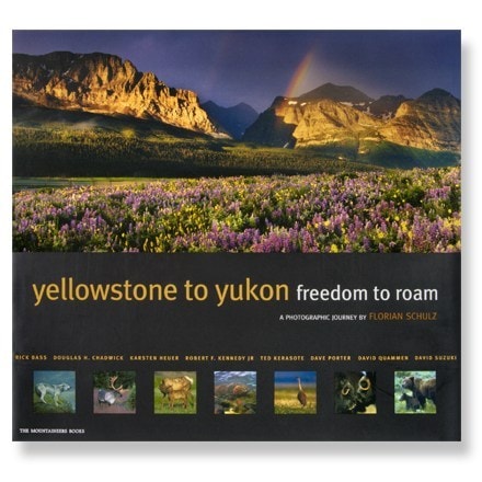Product Image of color
