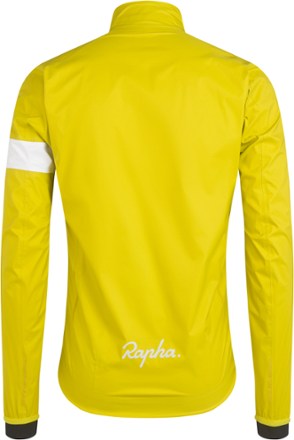 Detail Image of color Gecko