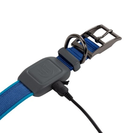 Nite Ize NiteDog Rechargeable LED Collar 4