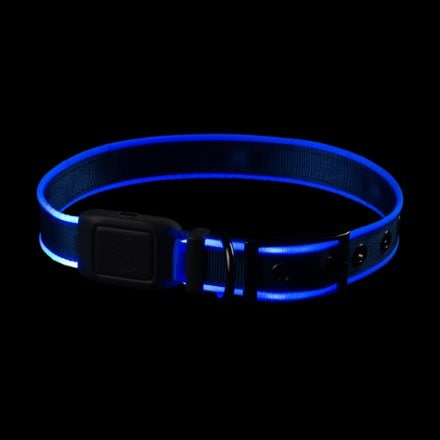 Nite Ize NiteDog Rechargeable LED Collar 5