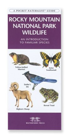 Product Image of color