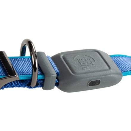 Nite Ize NiteDog Rechargeable LED Collar 2