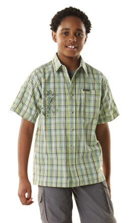On Body Image of color Ash Green