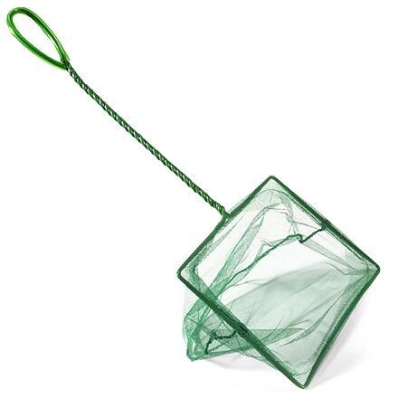 Product Image of color