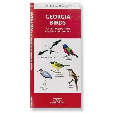 Product Image of color