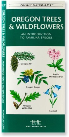 Product Image of color
