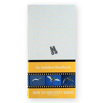 Product Image of color