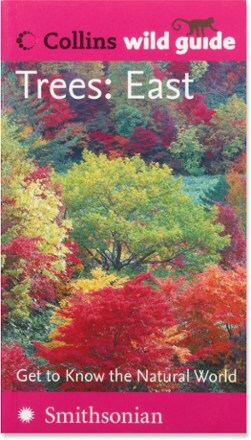 Product Image of color