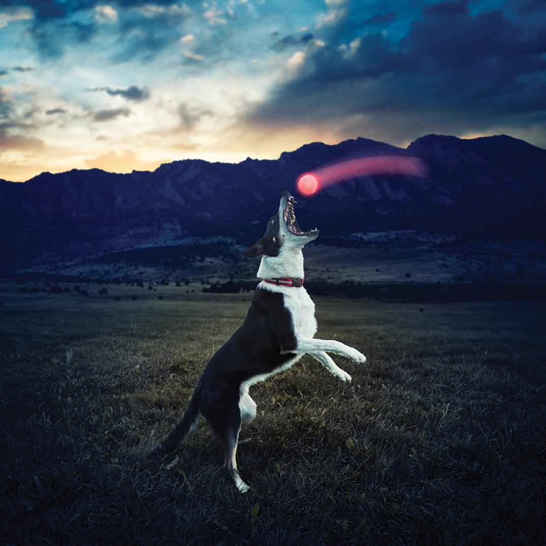 Location Image for GlowStreak LED Ball