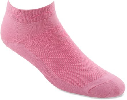 Product Image of color Pink