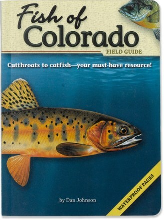 Product Image of color