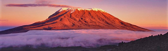 Africa Tours: Safaris  Kilimanjaro Climbs | Travel with REI