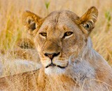Botswana Adventure Safari – Okavango Delta & Kalahari Desert