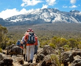 Mount Kilimanjaro Climb – Lemosho Route and Safari Extension