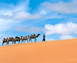 Mongolia Multisport: Through the Land of Nomads