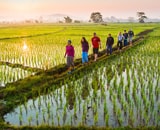 Thailand Multisport