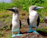 Galapagos Islands Lodge to Lodge