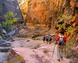 Family Zion & Bryce Hiking – REI Signature Camping