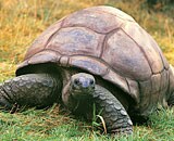 Galapagos Islands Cruise