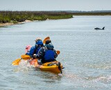 Coastal Carolina Sea Kayaking