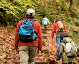 Great Smoky Mountains Family Backpacking Adventure