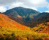 Great Smoky Mountains Backpacking
