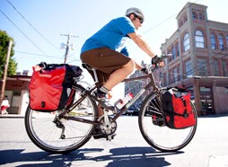 Bike Bag