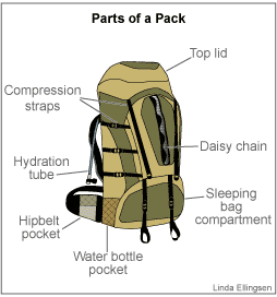 Parts of a pack