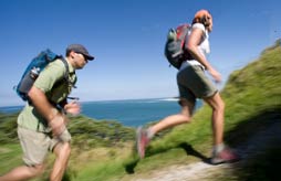 How to Choose a Daypack