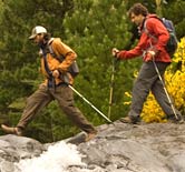 Hikers using trekking poles