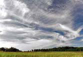 cirrus