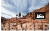 REI Membership