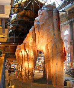 REI Denver Flagship Climbing Pinnacle