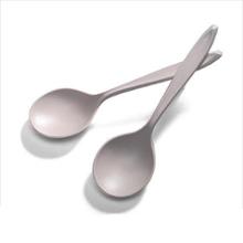 REI Polycarbonate Soup Spoons - set of 2