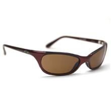 Smith Toaster Sunglasses - Slider Series