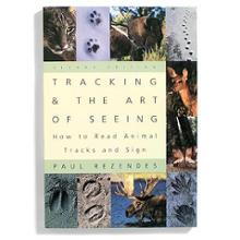 Tracking and The Art of Seeing