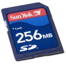 SanDisk SD Memory Card - 256MB