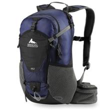 Gregory Iso Daypack