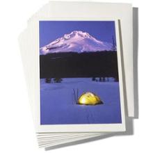 Palm Press Boxed Holiday Cards
