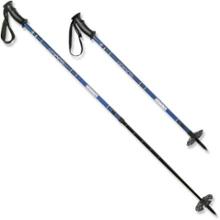 REI Summit Winter Poles - Pair