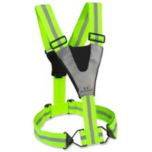 Amphipod Xinglet with Pocket