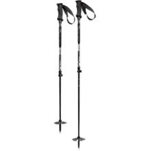 REI Peak UL Winter Touring Poles - Pair