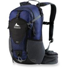 Gregory Iso Daypack - '08 Closeout