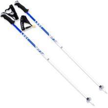 Leki Flex Lite Titanium Alpine Ski Poles - \'08 Closeout