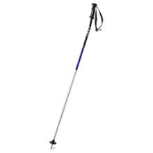 Leki Vista PA Alpine Ski Poles - '08 Closeout