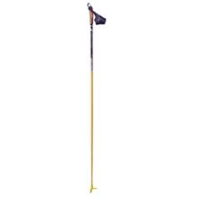 Fischer RC9 Racing Kit Poles